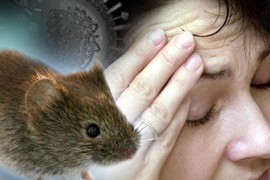 WHO yathibitisha mlipuko wa Hantavirus duniani, waua watatu