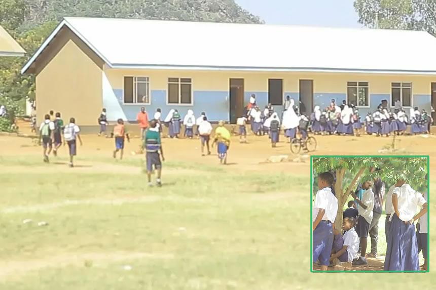 Nyuki wazua taharuki baada ya kuvamia shule Morogoro