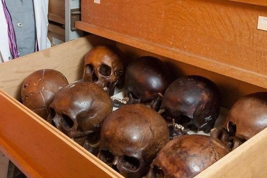 Kongo wanayataka mafuvu yao yaliyochukuliwa wakati wa ukoloni